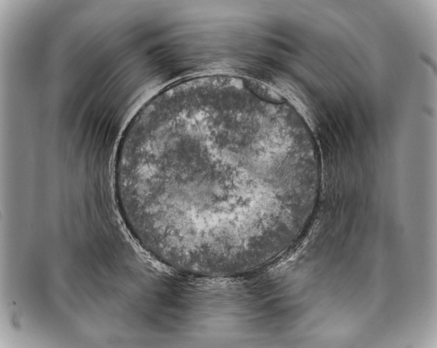 X0000097810949200804110947