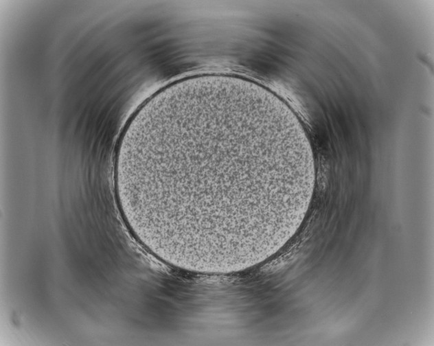 X0000097810950200804110947