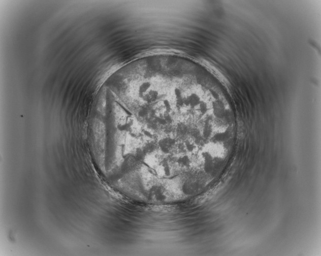 X0000097810953200804110947