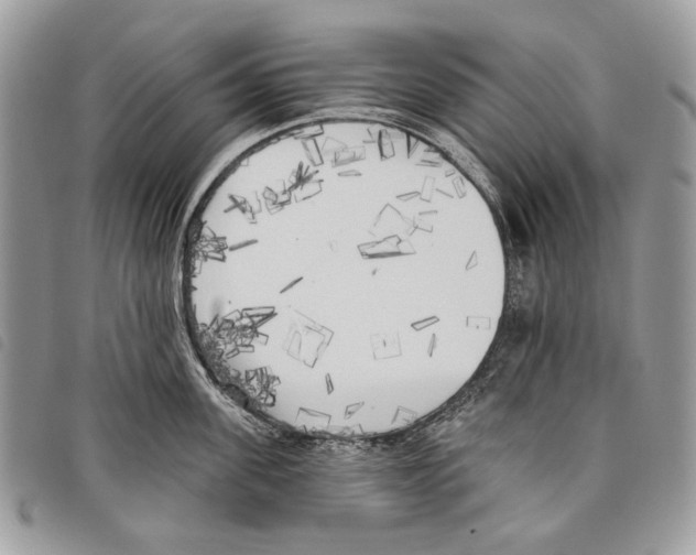 X0000097810955200804110947