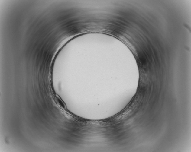 X0000097810956200804110947