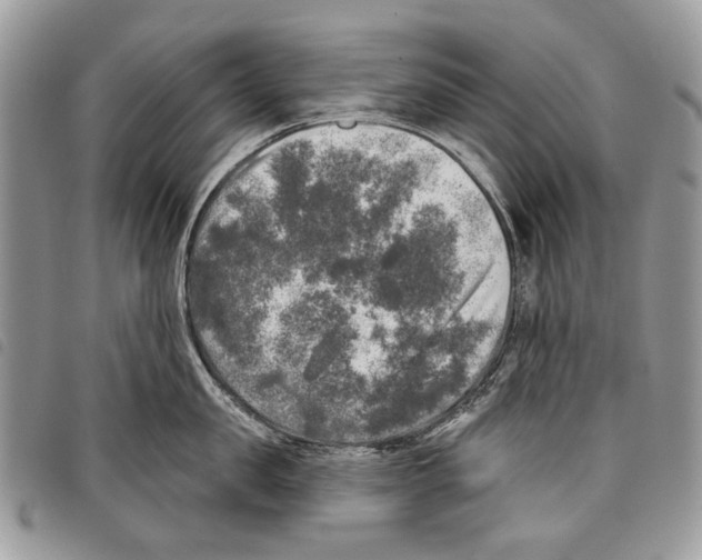 X0000097810957200804110947