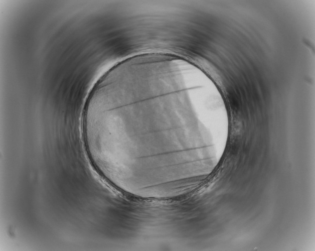 X0000097810958200804110947