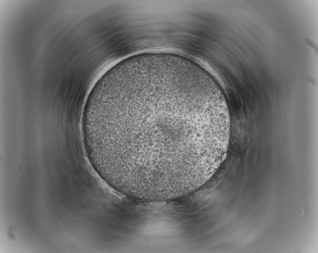 X0000097810959200804110947