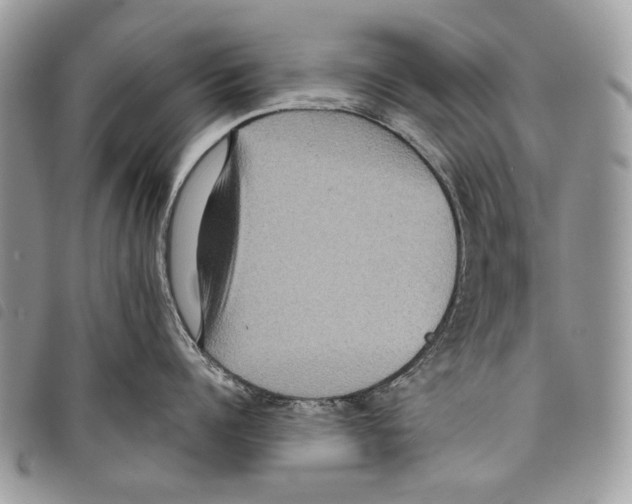 X0000097810960200804110947