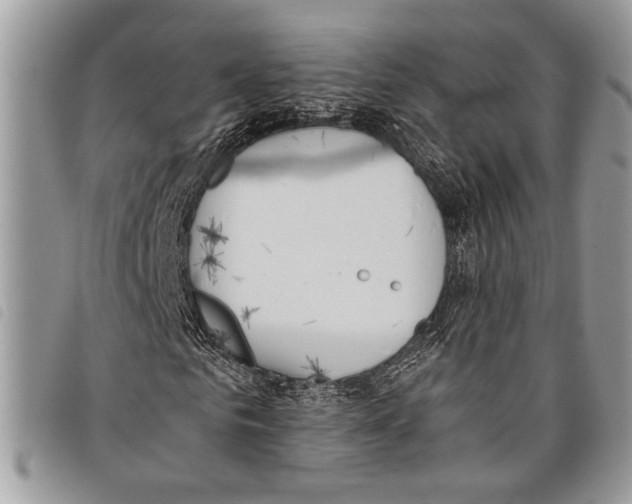 X0000097810961200804110946