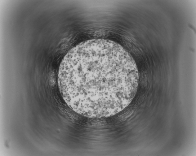 X0000097810962200804110946