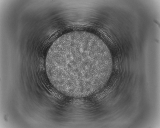 X0000097810964200804110946