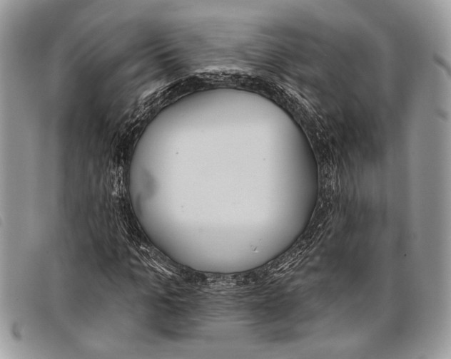 X0000097810965200804110946