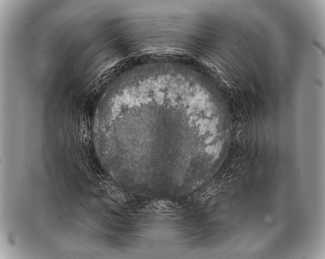 X0000097810966200804110946