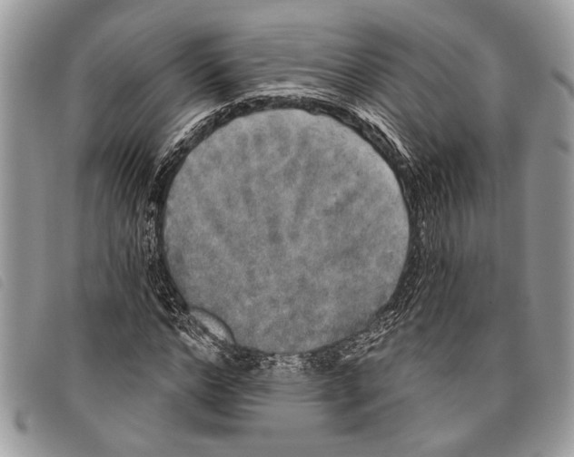 X0000097810968200804110946