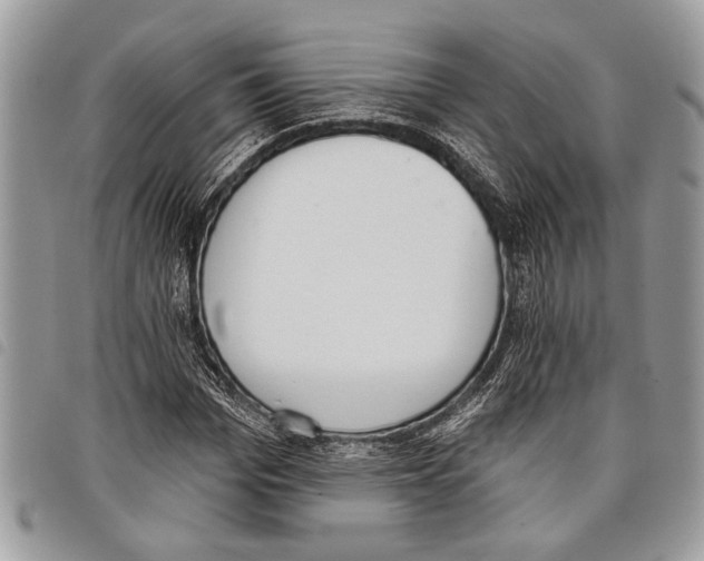 X0000097810969200804110946