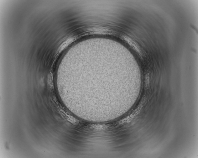 X0000097810970200804110946