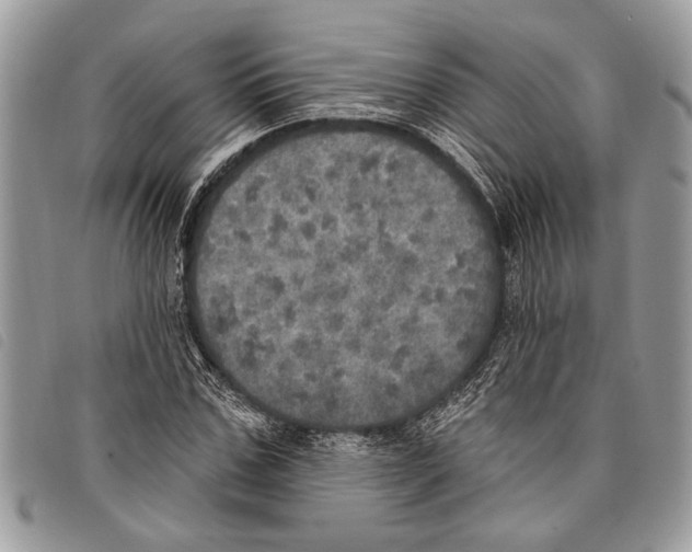 X0000097810971200804110946