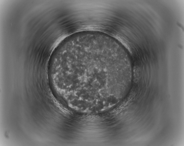 X0000097810972200804110946