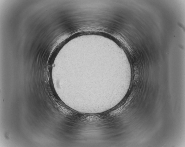 X0000097810974200804110946