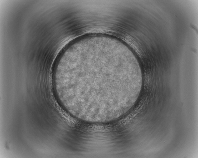 X0000097810976200804110946