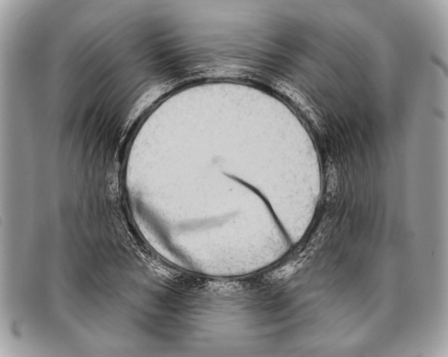 X0000097810978200804110946