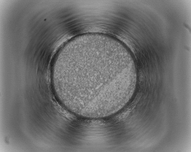 X0000097810979200804110946