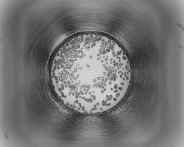 X0000097810982200804110946