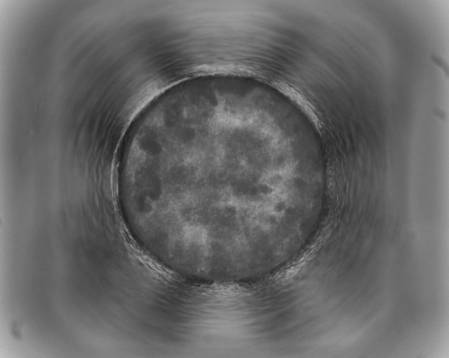 X0000097810983200804110946