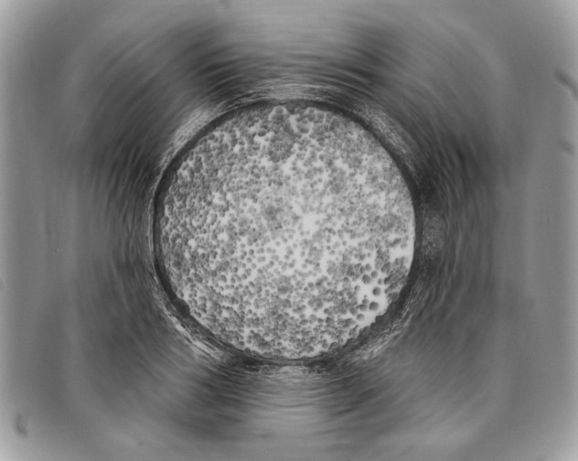 X0000097810986200804110946