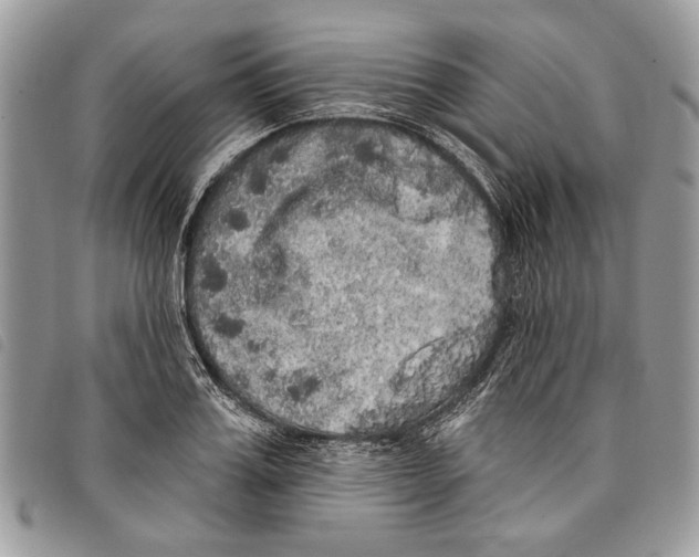 X0000097810987200804110946