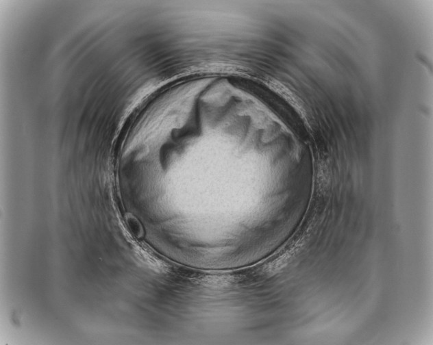 X0000097810989200804110946