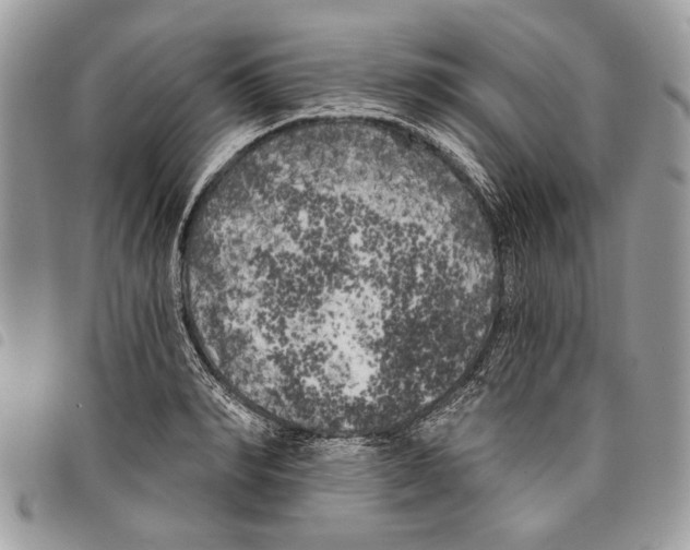 X0000097810990200804110945