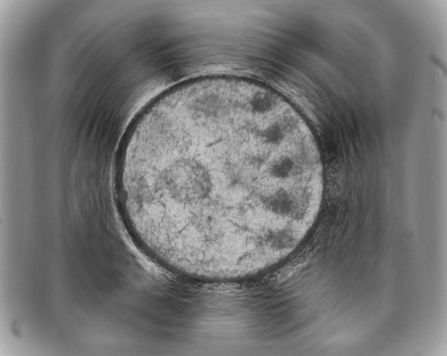 X0000097810991200804110945