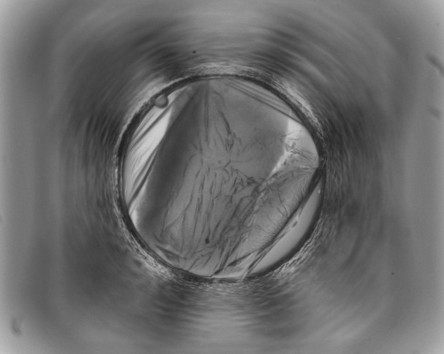 X0000097810992200804110945