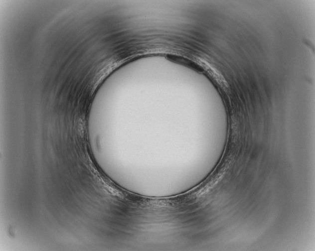 X0000097810993200804110945