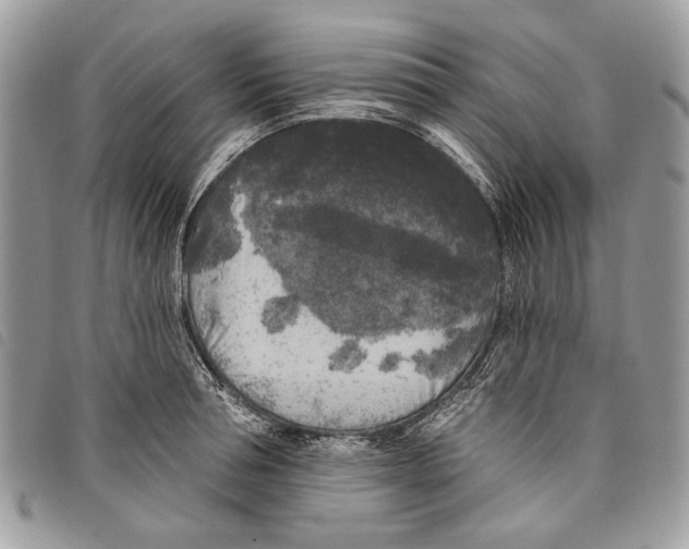 X0000097810994200804110945