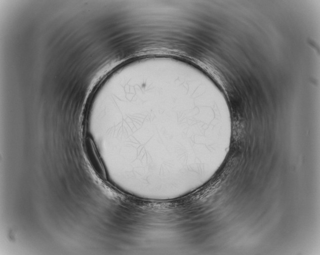 X0000097810995200804110945