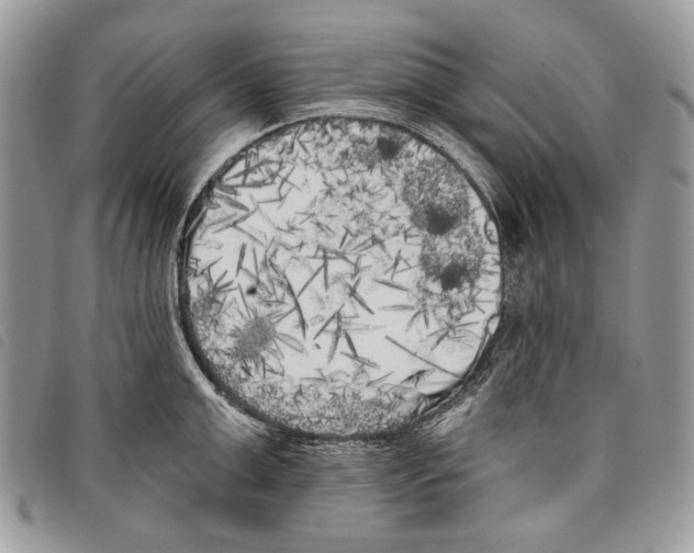 X0000097810999200804110945