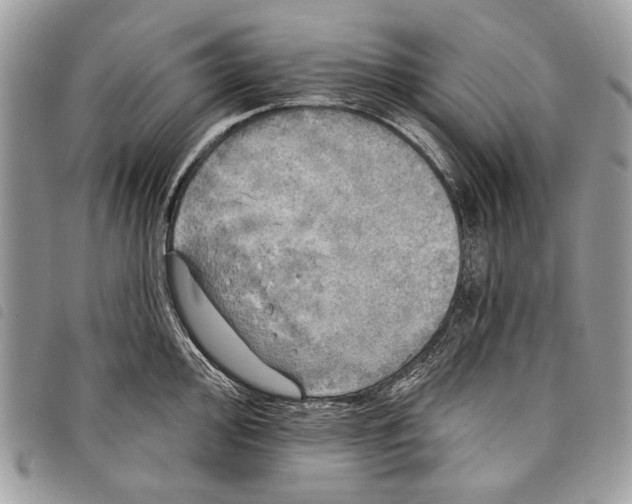 X0000097811000200804110945