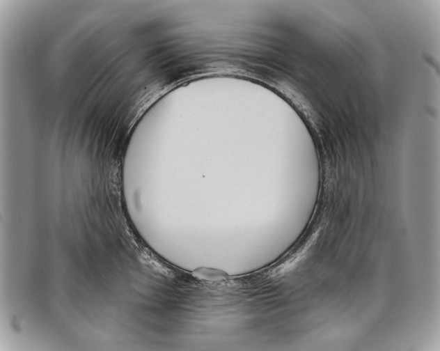 X0000097811001200804110945