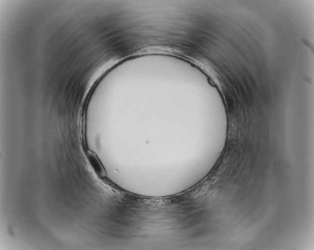 X0000097811003200804110945