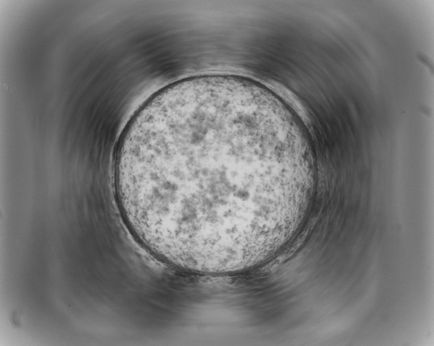 X0000097811006200804110945