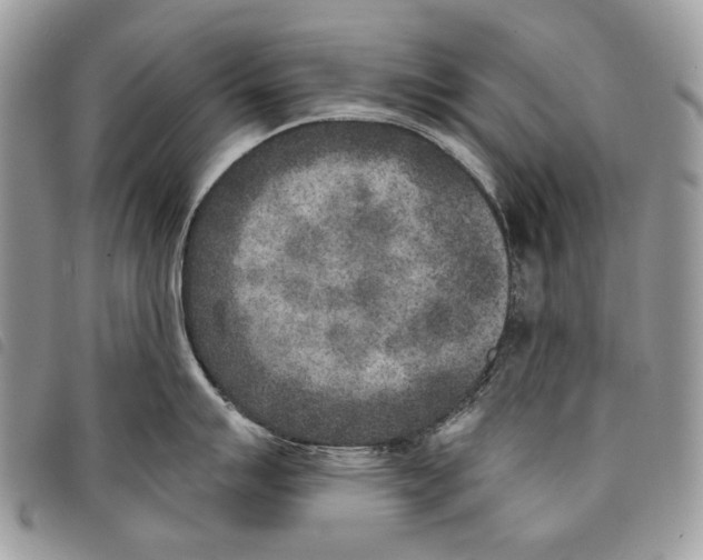 X0000097811007200804110945