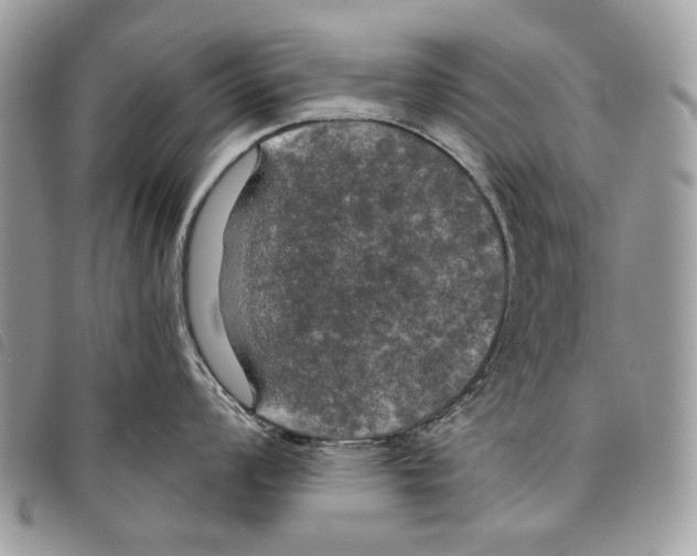 X0000097811008200804110945