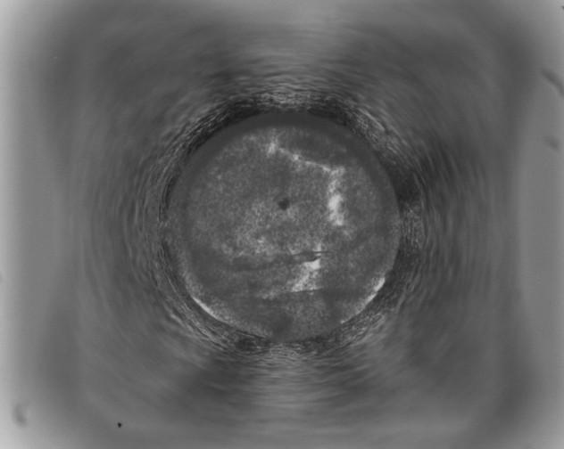 X0000097811009200804110945