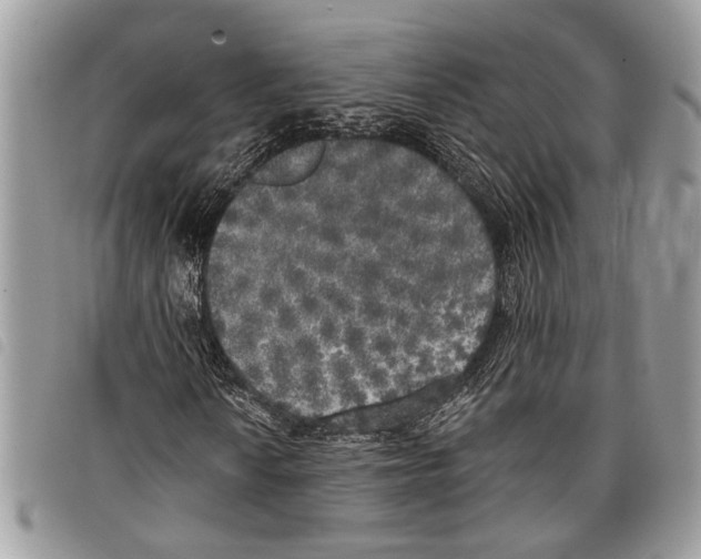 X0000097811010200804110945