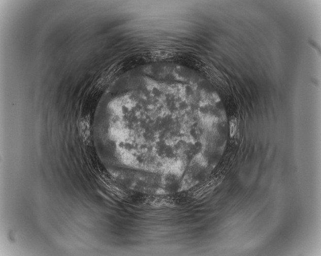 X0000097811011200804110945