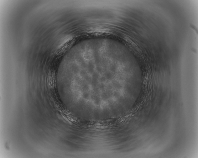 X0000097811014200804110945