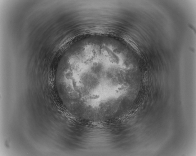 X0000097811015200804110945