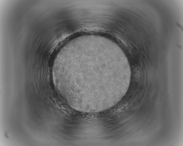 X0000097811016200804110945