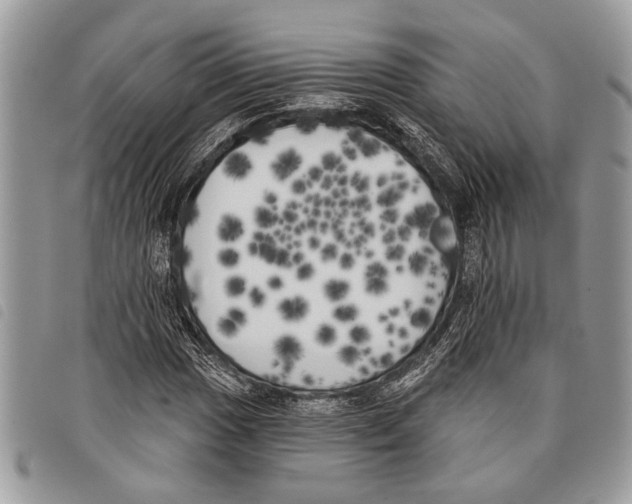 X0000097811017200804110945