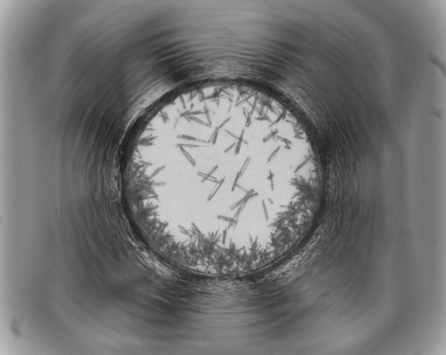 X0000097811018200804110945