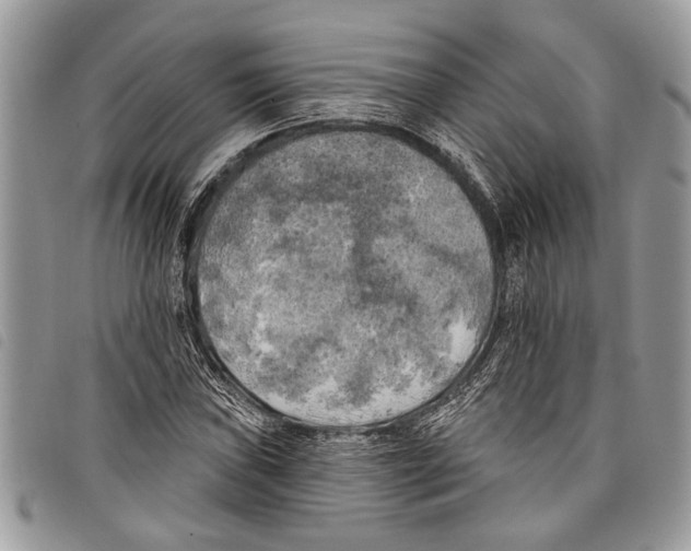 X0000097811019200804110945